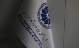 فعالان اقتصادی از پرداخت وجه به اشخاص حقیقی و حقوقی برای اینترنت پرو خودداری کنند