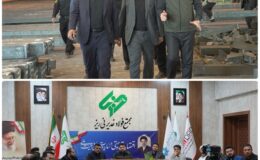 عملکرد مثبت فولاد غدیر نیریز در حوزههای تولید و توسعه