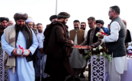 سرمایهگذاری ۲۰۰میلیون دلاری بخش خصوصی افغانستان بر یک کارخانه ذوب آهن