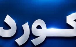 رکوردی تازه؛ حاصل همدلی، تخصص و استمرار در تولید
