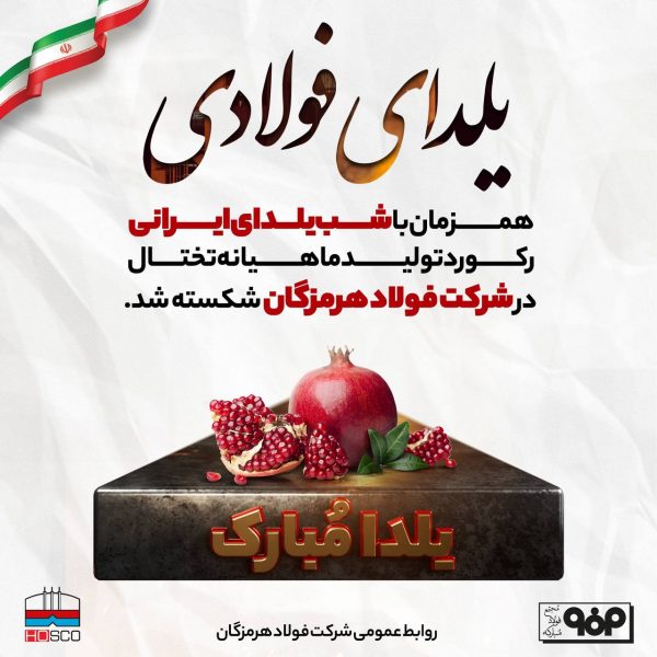 فولاد هرمزگان 14