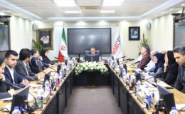 نقش آفرینی ایمپاسکو در ذخایر عمیق، طلا و زغال سنگ