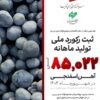 غدیر نی ریز، رکورددار تولید آهن اسفنجی با تکنولوژی ایرانی Pred در کشور شد