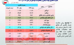 کاهش ۱۶ درصدی مصرف ظاهری فولاد ایران در سال ۱۴۰۰​/ جزئیات کامل مصرف ظاهری فولاد میانی، محصولات فولادی و آهن اسفنجی + جدول